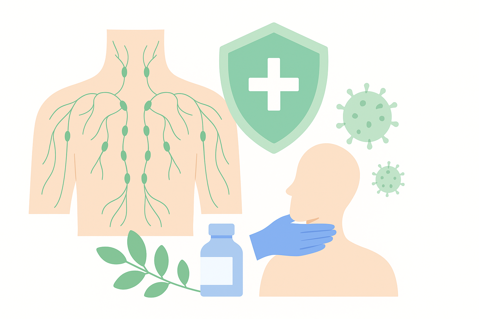 リンパ流しで免疫力アップ！体調改善に役立つ秘訣まとめ